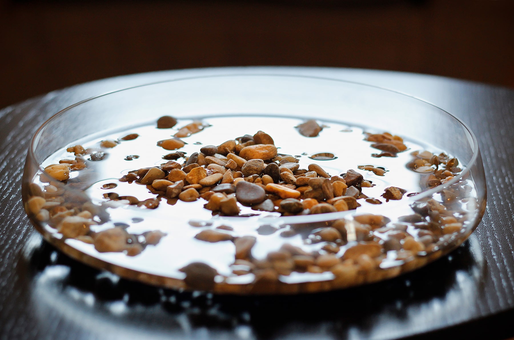 using pebbles to increase humidity around orchids