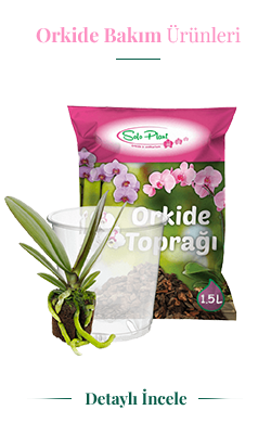 Solo Plant orchid growing medium and care product
