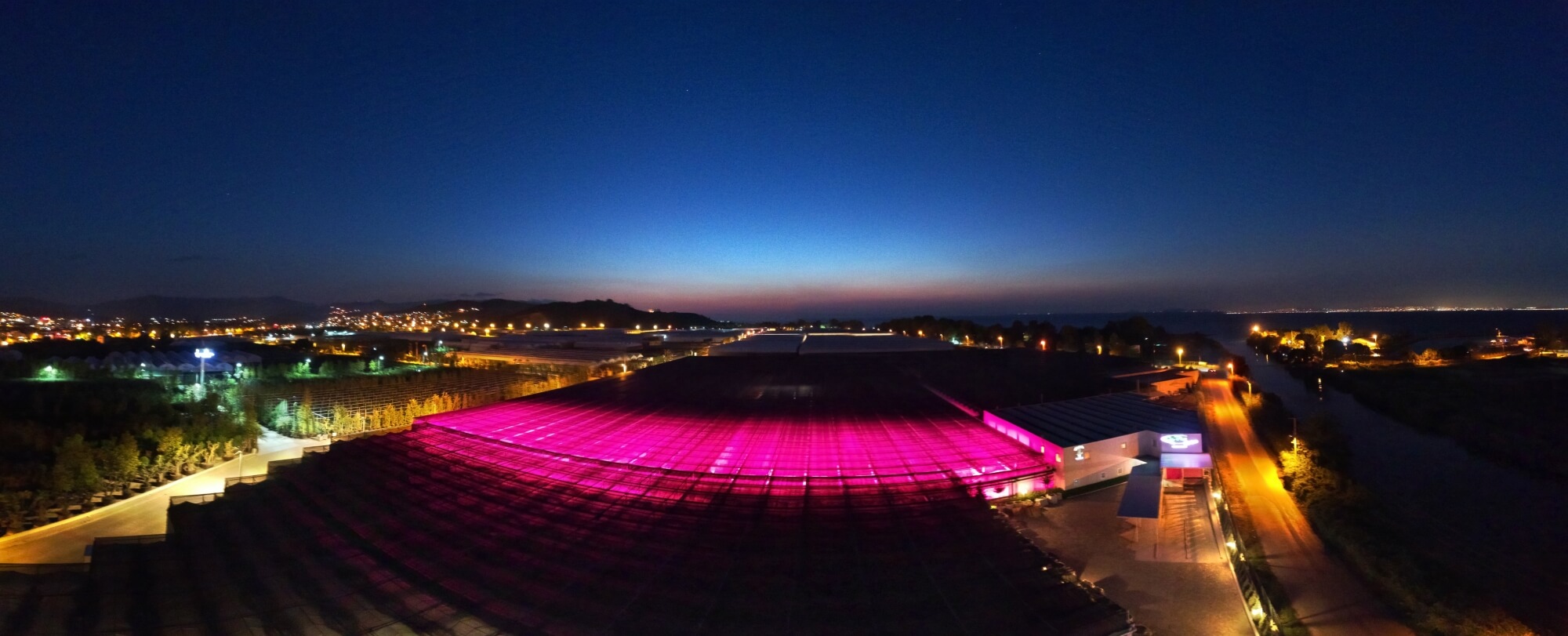 Gece Solo Plant Gece Solo Plant